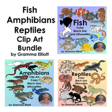 Amphibians Fish and Reptiles Bundle  of Realistic Clip Art