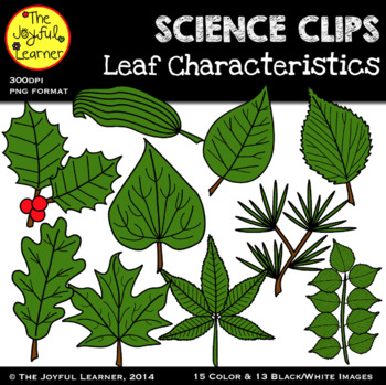Preview of Clip Art: Leaf Characteristics/Types