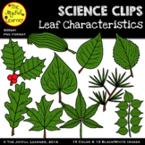 Clip Art: Leaf Characteristics/Types