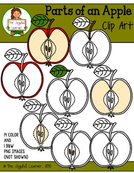 Preview of Clip Art: Parts of an Apple (for creating 3-Part Cards & other resources)
