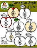 Clip Art: Parts of an Apple (for creating 3-Part Cards & o
