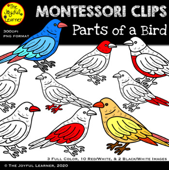 bird clipart for kids