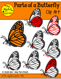 Clip Art: Parts of a Butterfly (for creating 3-Part Cards 
