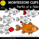 Clip Art: Parts of a Fish (clip art for making Montessori 
