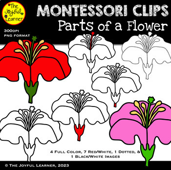 Preview of Clip Art: Parts of a Flower (clip art for making Montessori 3-part cards, etc.)