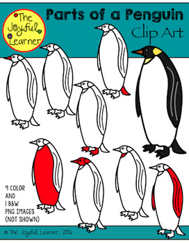 Preview of Clip Art: Parts of a Penguin (clip art for making Montessori 3-part cards, etc.)