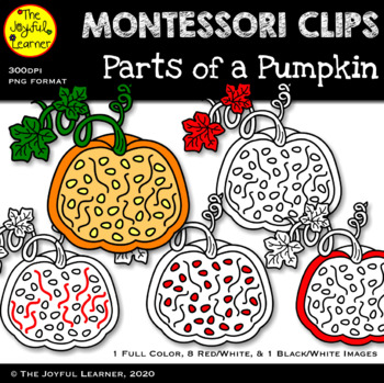 Preview of Clip Art: Parts of a Pumpkin (clip art for making Montessori 3-part cards, etc.)