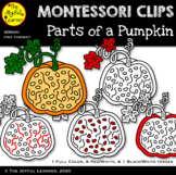 Clip Art: Parts of a Pumpkin (clip art for making Montesso