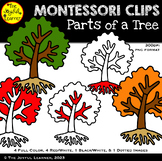Clip Art: Parts of a Tree (for making science materials, s