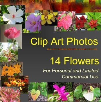 enhance clipart flower