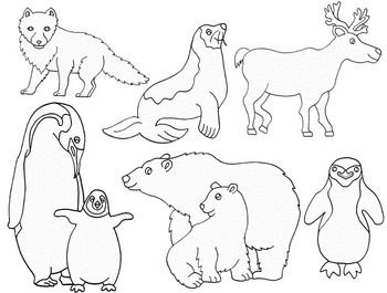 Clip Art~ Polar Arctic Antarctic Animals by Cara's Creative Playground
