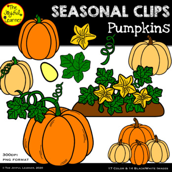 Preview of Clip Art: Pumpkins