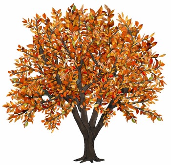 apple falling from tree clipart