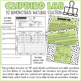 ClipBird Lab- "Battle of the Beaks" Student Lab Worksheet 