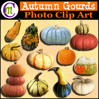 Preview of Autumn Gourds Photo Clip Art