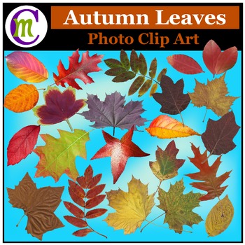 Preview of Autumn Leaves Photo Clip Art