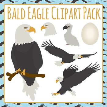 Bald Eagle Collection Clip Art Set for Commercial Use by Hidesy's Clipart