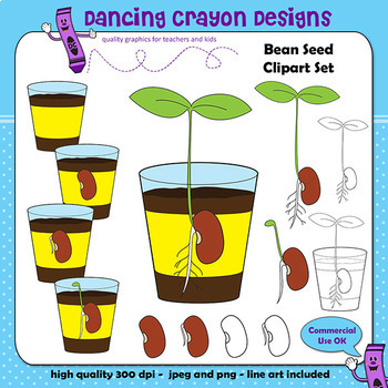 seed sprout clipart