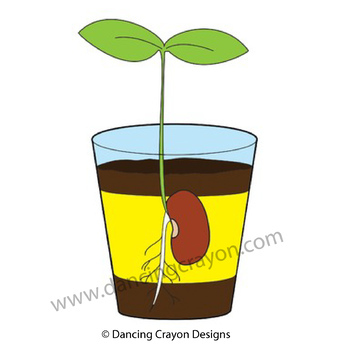 sprout clip art