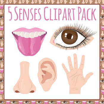 Five Senses Clip Art Pack for Commercial Use by Hidesy's Clipart