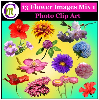 Preview of Flower Clipart Mix 1 Photo Clipart