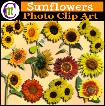 Preview of Sunflowers Photo Clipart
