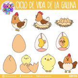 Clipart GIFS, Life cycle of a chicken. Ciclo de vida del pollito