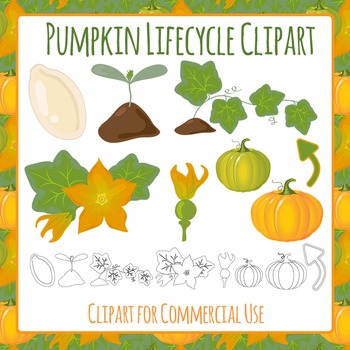 pumpkin sprout clipart