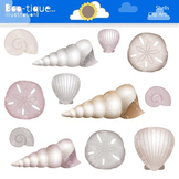 Clipart- Shells Clipart. Beach Clip Art. Shells DIgital Clip Art.