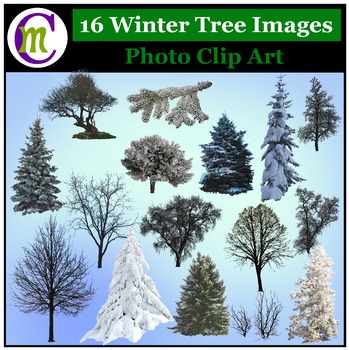 Preview of Winter Trees Photo Clip Art