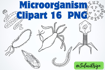 Preview of Clipart of  Microorganism 16 PNG