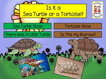 Preview of Close Informational Reading - Sea Turtles and Tortoises with Activities