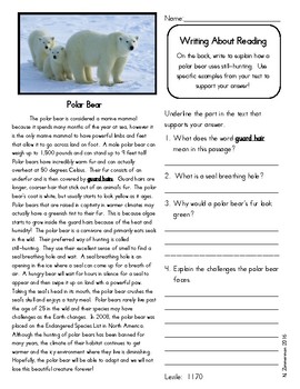 Preview of Close Reading 3rd, 4th, 5th Grade Non Fiction Reading Passages: Polar Bear