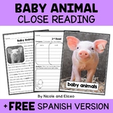 Baby Animal Close Reading Comprehension Passage Activities