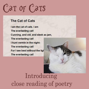 Close Reading of Poetry: Cat of Cats by Tori Allred | TPT