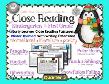 Preview of Close Reading For Kindergarten & First Grade: Quarter 3 Winter Set of 6