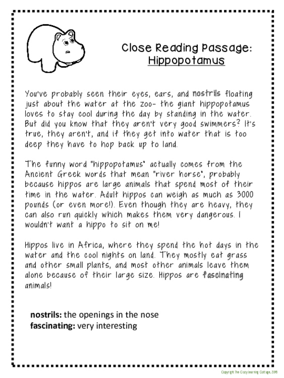 Close Reading: Hippopotamus Non-Fiction Passage with Vocabulary and ...