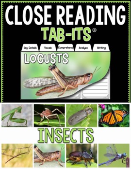 Preview of Close Reading - Insects | Distance Learning
