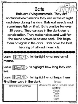 Close Reading Nocturnal Animals Themed Non - Fiction Text by victoria moore