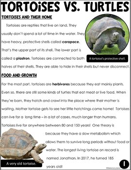 https://ecdn.teacherspayteachers.com/thumbitem/Close-Reading-Passages-and-Questions-for-Tortoises-vs-Turtles-5298670-1657243114/original-5298670-2.jpg