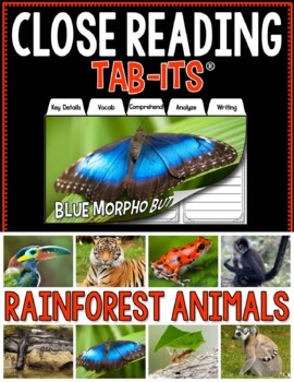 Preview of Close Reading - Rainforest Animals | Distance Learning