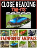 Close Reading - Rainforest Animals | Distance Learning