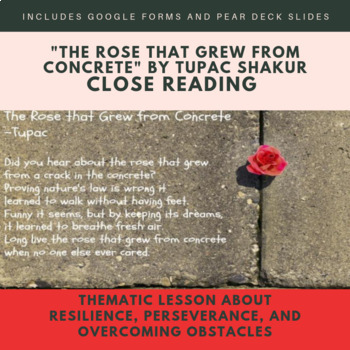 Preview of Close Reading-Resilience & Perseverance Lesson-The Rose That Grew From Concrete