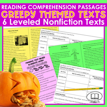 Preview of Reading Comprehension Passages Halloween Test Prep
