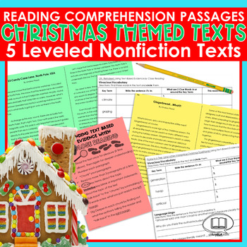 Preview of Reading Comprehension Passages Christmas Test Prep