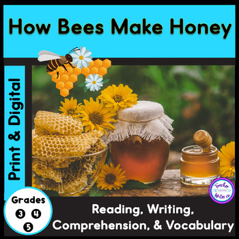 Preview of Close Reading and Writing | Comprehension | How Do Bees Make Honey?