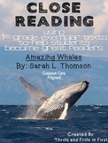 Close Reading with Amazing Whales by Sarah L. Thompson!