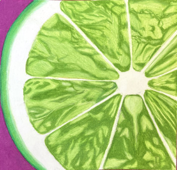 Preview of Close Up Fruit/Veggie Colored Pencil Illustrations