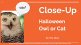 Close-Up Halloween/Fall Owl/Cat Art Google Slides