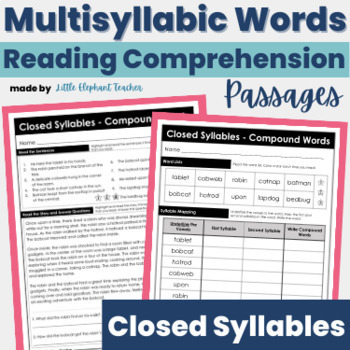 Preview of Closed Multisyllabic Words Reading Comprehension Passages, Sentences and Words